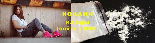 прущая мука Вяземский