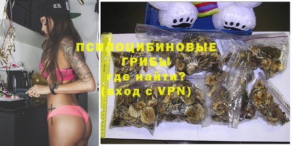 PSILOCYBIN Вязьма