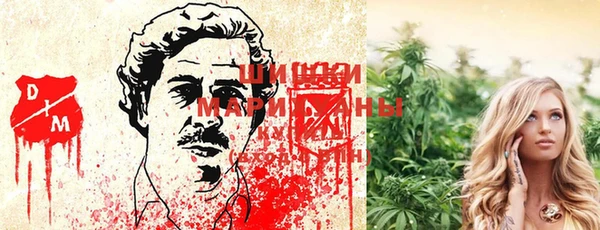 прущая мука Вяземский