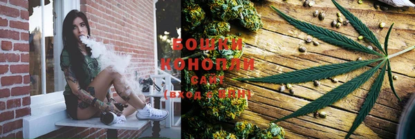 PSILOCYBIN Вязьма