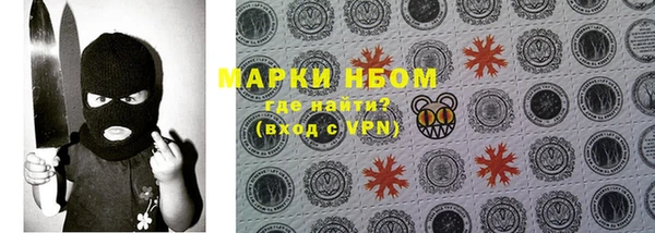 PSILOCYBIN Вязьма