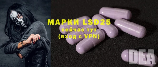 прущая мука Вяземский
