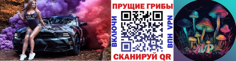 Псилоцибиновые грибы Psilocybe блэк спрут ONION Ивантеевка маркетплейс Telegram что такое